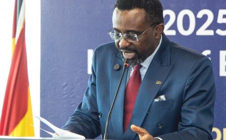 Bank of Ghana’s guidelines to the shipping industry; placebo or panacea?