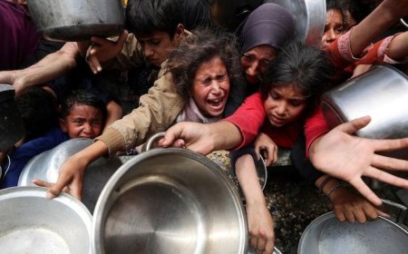 Gaza Malnutrition Crisis Deepens as WHO Warns of "Alarming Levels"