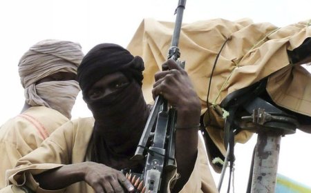 Kidnappers in Nigeria Kill 35 Hostages Despite Ransom Payment