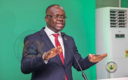 McDan Demolition: Ghana Army Probes Alleged Misconduct by Soldiers Against Journalist and Eyewitness