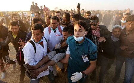 Tragedy Strikes Gaza as Israeli Fire Kills Palestinians Waiting for Food
