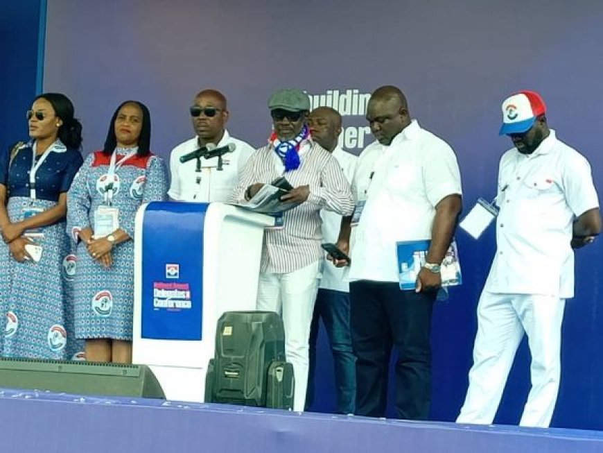 NPP Delegates Approve 54 Motions, Reject Two Key Constitutional Amendments