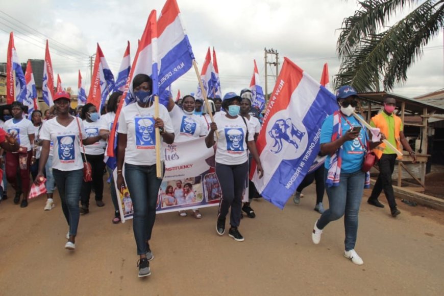 NPP Revolutionizes 2026 Presidential Primary with Expanded Electoral College