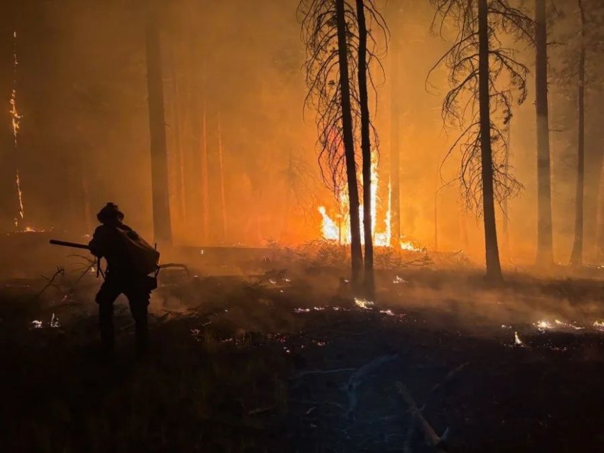 World Court is poised to mark the future course of climate litigation 