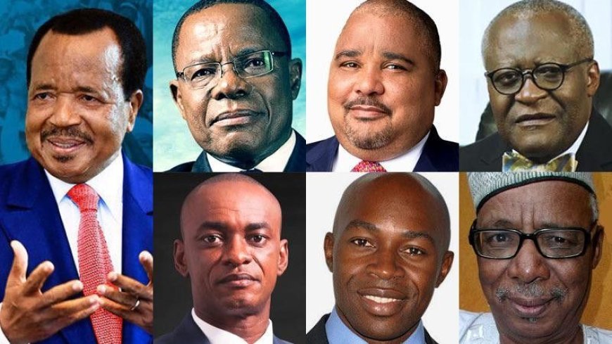 Cameroon's Presidential Election: A Crowded Field of 81 Candidates