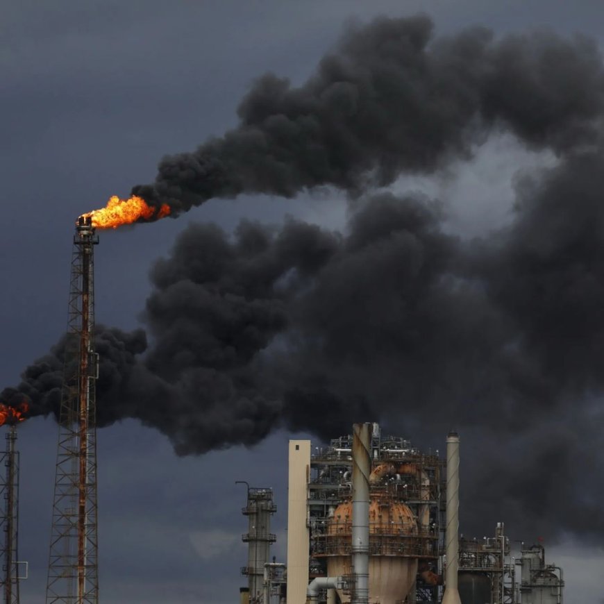 World Court Delivers Verdict: Countries Must Act on Climate Change