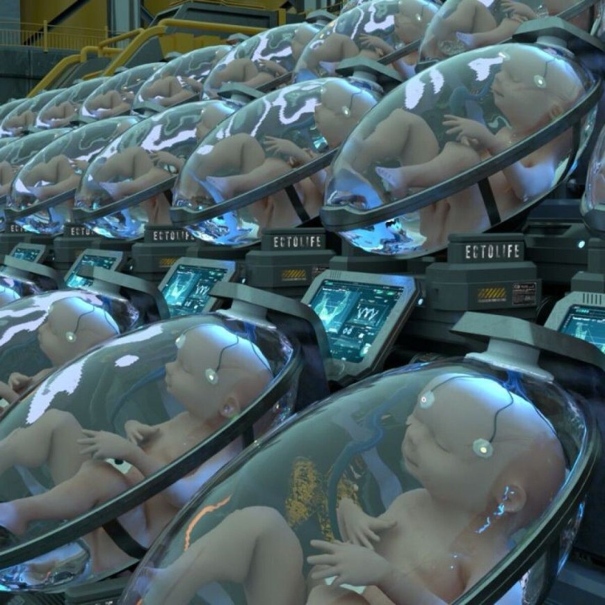 Breakthrough in Premature Infant Care: Japan Develops World's First Artificial Womb