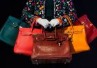 Bagging a Fortune: Is $9.2 million Justified for a Luxury Handbag?