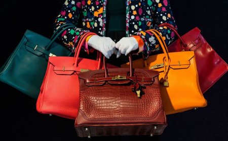 Bagging a Fortune: Is $9.2 million Justified for a Luxury Handbag?