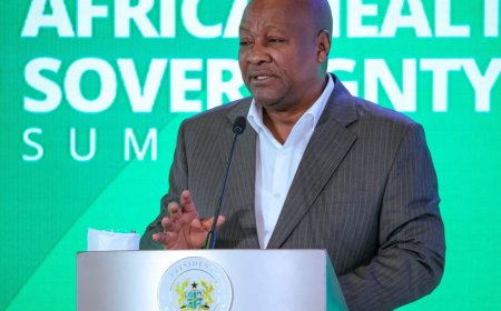 Mahama Unveils Task Force on Global Health Governance
