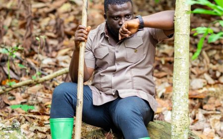 Helicopter Disaster: Black Box Found at Crash Site - Ashanti Regional Minister Confirms