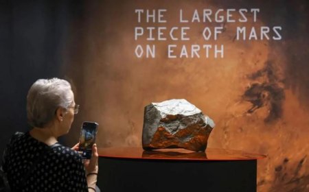 A Piece of Mars: Rare Meteorite from Niger Sells for Millions, Sparks Outrage