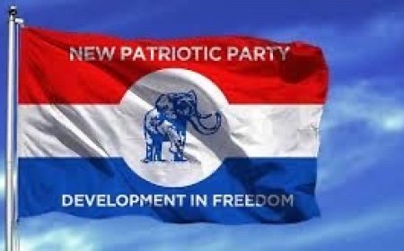 NPP Extends Olive Branch as Party Pardons Suspended Members in Unity Push      