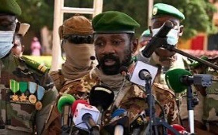 Mali Arrests French Embassy Employee Over Alleged Plot to Undermine Country's Stability