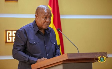 Mahama's Asia Gamble: President Courts Japanese and Singaporean Investors