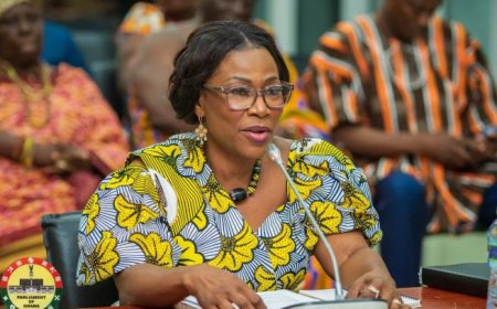 'She’s Not a Full Professor and Cannot Use the Title' - Manasseh Azure Awuni Writes