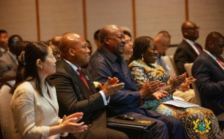 Mahama Declares Ghana Cedi World's Best-Performing Currency, Courts Japanese Investors