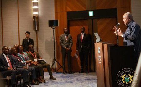 Exclusive: Photos from the Ghana Presidential Investment Forum ,TICAD-9 in Yokohama, Japan.