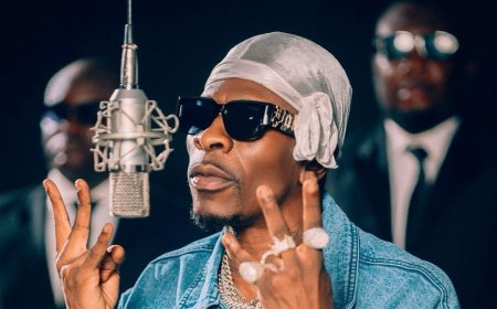 EOCO's Investigation into Shatta Wale: Key Highlights