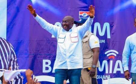 Bawumia's Academic Credentials Stands Tall - Musings From a ‘Professional Truth Sayer’