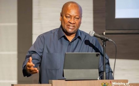 Mahama's Japan Visit Delivers 7 Key Outcomes   