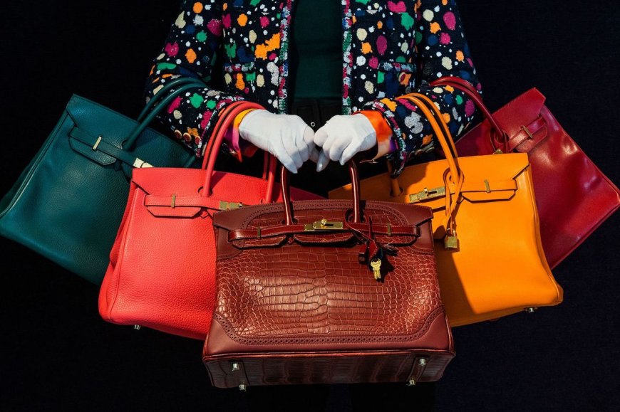 Bagging a Fortune: Is $9.2 million Justified for a Luxury Handbag?