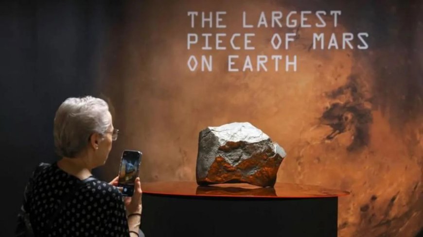 A Piece of Mars: Rare Meteorite from Niger Sells for Millions, Sparks Outrage