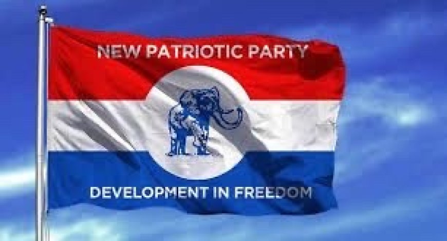 NPP Opts Out of Tamale Central By-Election