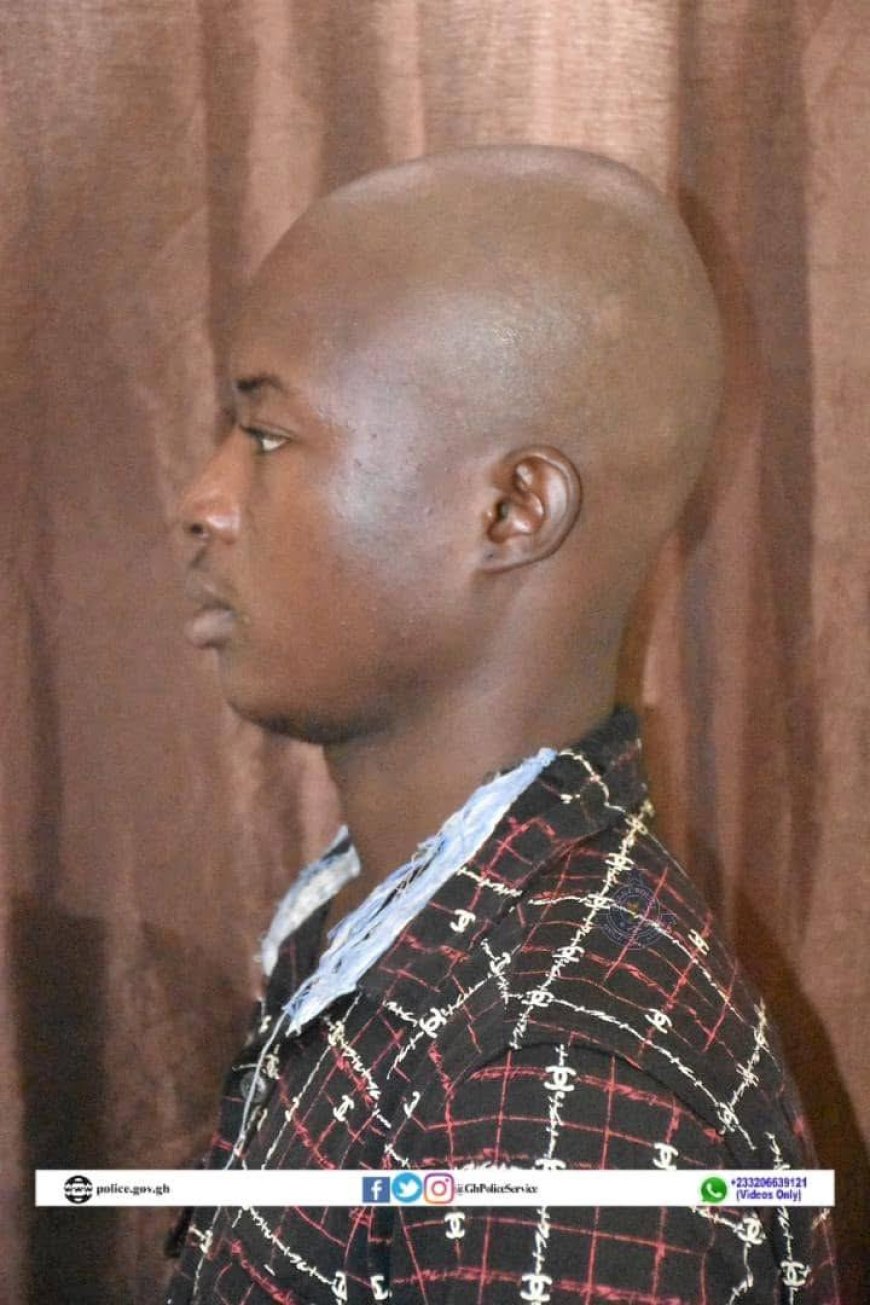 Arms Runner and Robbery Kingpin Jailed 10 Years