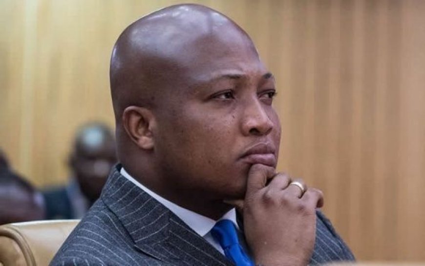 "No Regrets, No Apologies": Ablakwa Joins Presidential Jet Debate