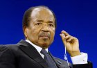 Biya's Grip on Power: Cameroonians Weigh In on 92-Year-Old President's Re-Election Bid