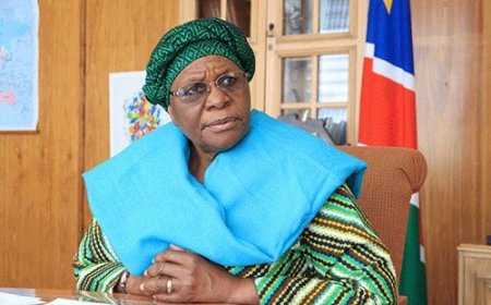 Namibia in Mourning: 16 Killed in Deadliest Head-On Crash Involving Security Vehicles