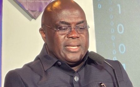 Who's Allowed to Attend UNGA 80? Chief of Staff Holds the Key