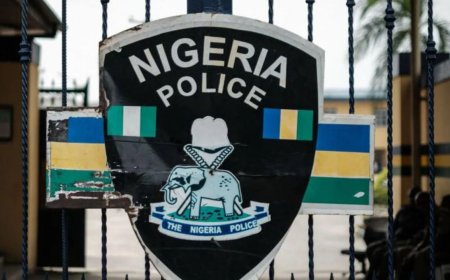 Mob Burns Nigerian Woman to Death Over Blasphemy Allegations