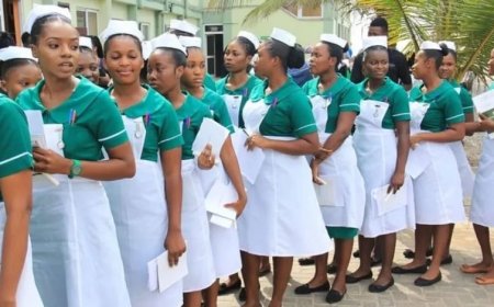 Government Adds 13,500 Nurses to Payroll in Major Move