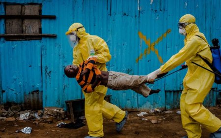 Ebola Outbreak in DR Congo Claims 15 Lives