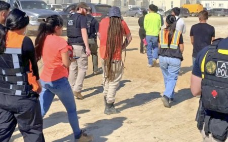 Hundreds Detained in US Immigration Raid at Hyundai Plant