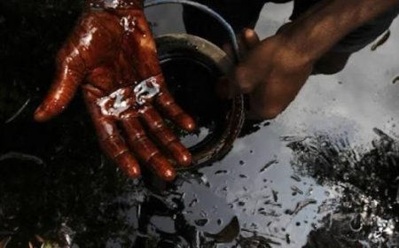 Oil's Dark Shadow: Why PIAC Needs Saving - Laud Nartey writes 