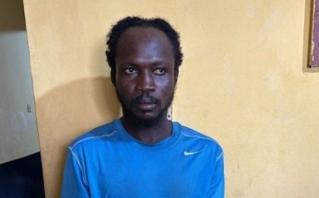 Threats Against President Mahama Earn TikToker 7-Month Jail Term