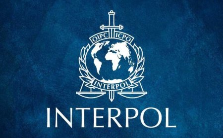 Interpol seizure uncovers enough fentanyl to kill 151 million people