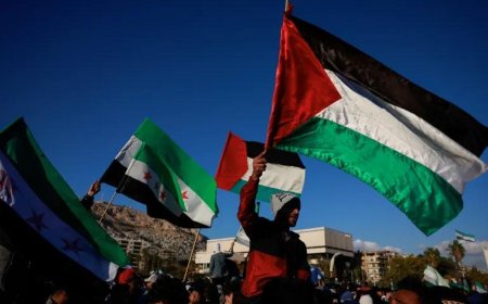 Reaction to Recognition of Palestinian State by UK, Canada and Australia