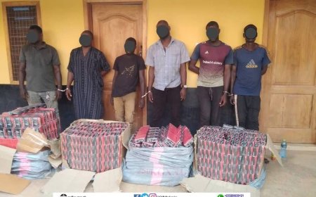 Police Intercept Massive Shipment of Tramadol in North East Region   