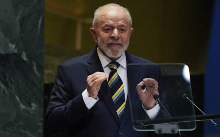 Lula's Landmark Move: Brazil Commits $1 Billion to Save Tropical Forests