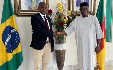 Ghana's Ambassador to Brazil Kicks Off Diplomatic Mission with High-Level Meeting