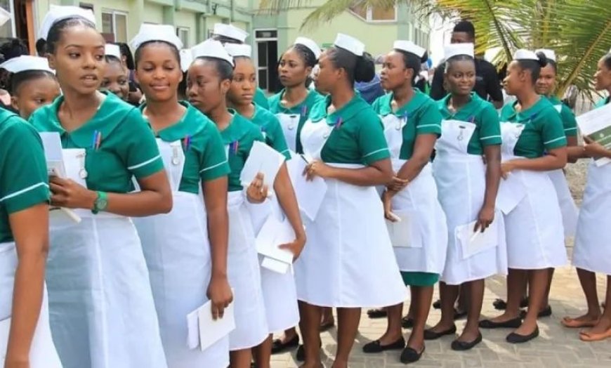 Government Adds 13,500 Nurses to Payroll in Major Move