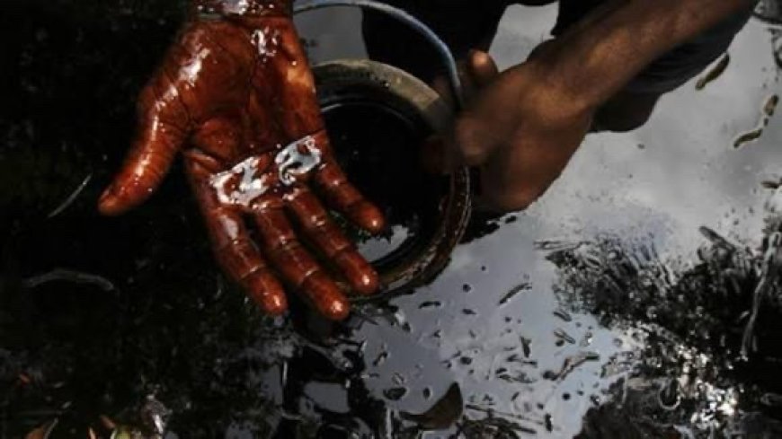 Oil's Dark Shadow: Why PIAC Needs Saving - Laud Nartey writes 