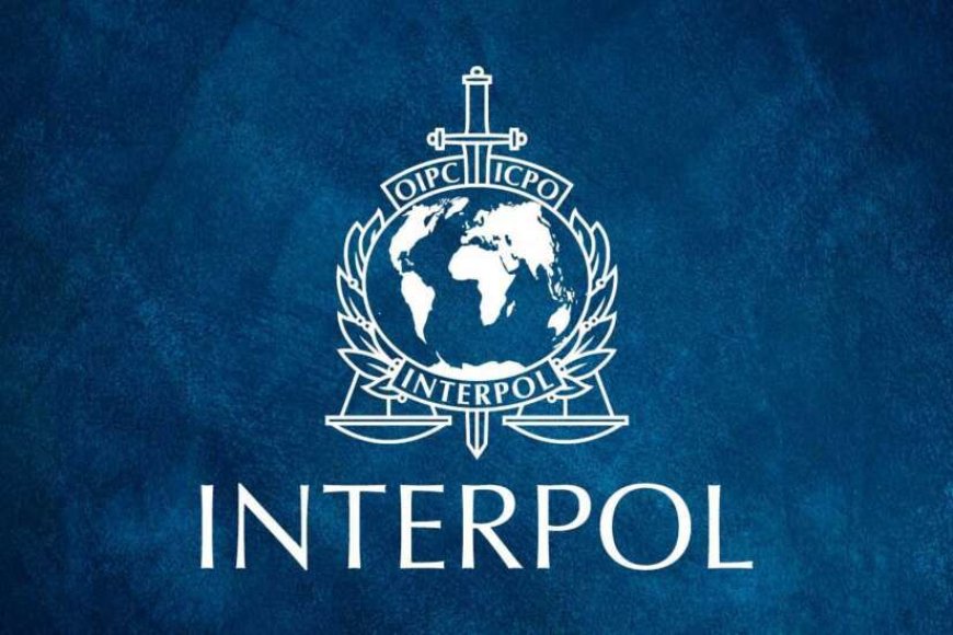 Interpol seizure uncovers enough fentanyl to kill 151 million people