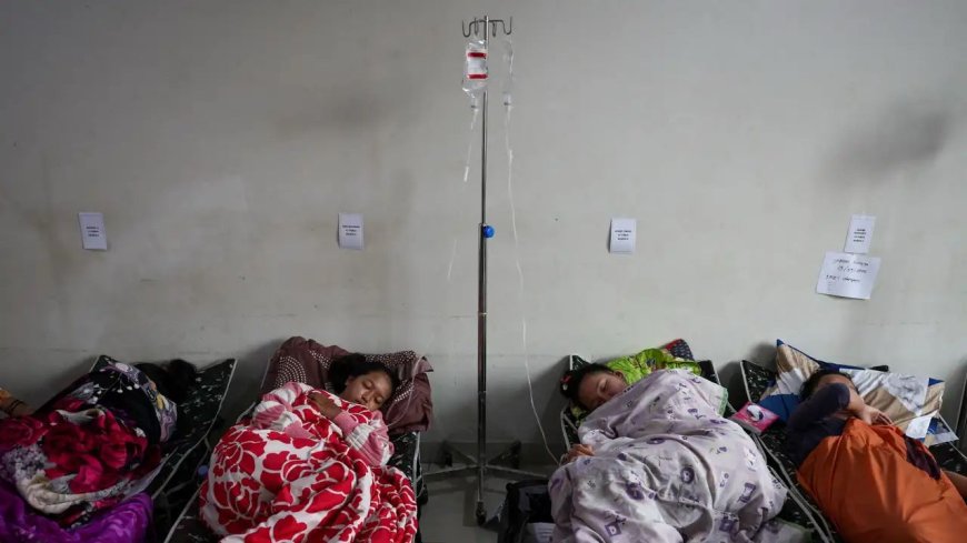 School Meal Nightmare: Over 1,000 Indonesian Kids Fall Ill in Fresh Food Poisoning Outbreak