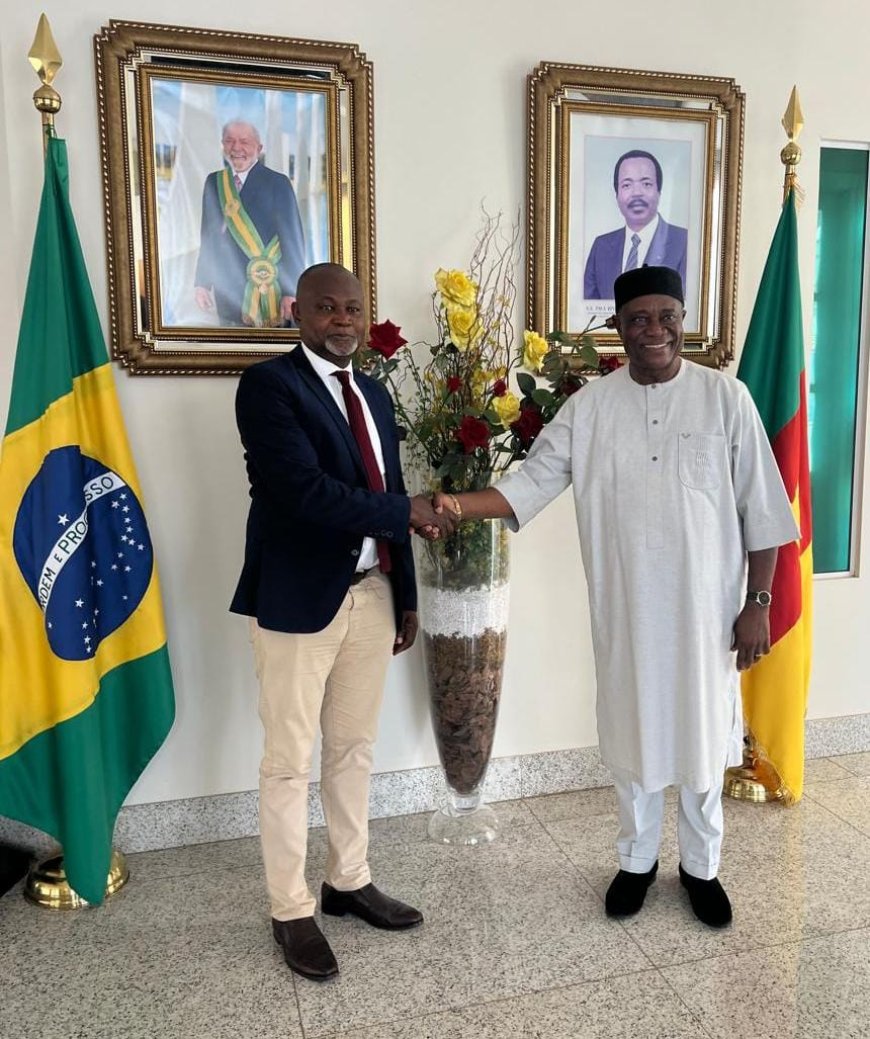 Ghana's Ambassador to Brazil Kicks Off Diplomatic Mission with High-Level Meeting