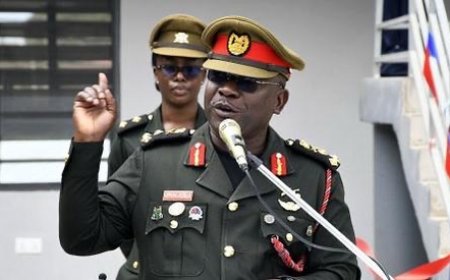 Diplomatic Shake-Up: Mahama Appoints 18 New Deputy Heads of Missions   